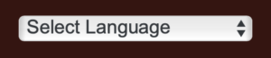 Select Language Button