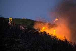 fire burning bushland