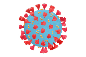 virus cell