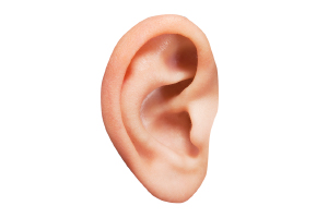 an ear