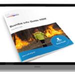 picture of the CID easy read fact sheet about staying safe in a bushfire