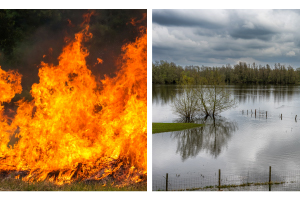 pictures of fire and flood