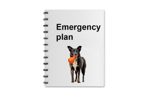 emergency plan for pets