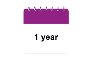 calendar showing 1 year